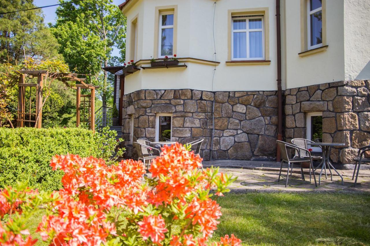 Pensjonat Mimoza Świeradów-Zdrój Exterior foto
