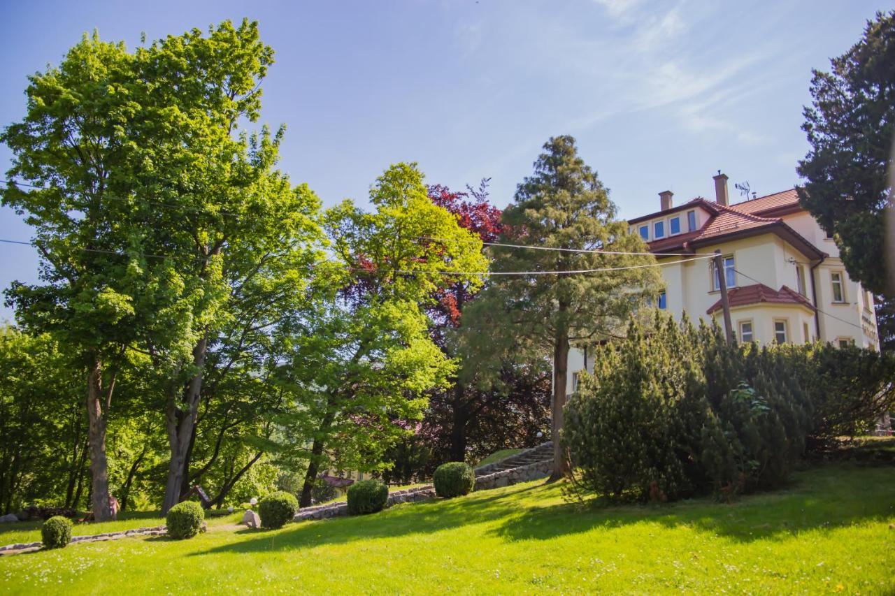 Pensjonat Mimoza Świeradów-Zdrój Exterior foto
